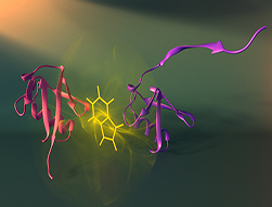 Récréer la biochimie